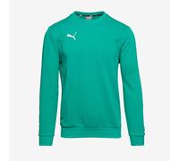 Puma teamGOAL 23 Casuals Sweatshirt