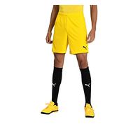 PUMA teamGOAL 23 Knit Shorts