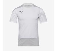 Puma teamGOAL 23 Slim SS Training Shirt