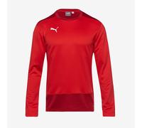 Puma teamGOAL 23 Training Sweatshirt Red