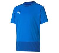 PUMA teamGOAL 23 Training Jersey Jr