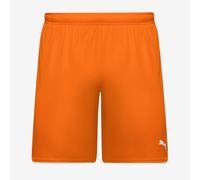 PUMA teamGOAL Shorts
