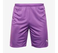 PUMA teamGOAL Shorts