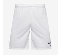 Puma teamGOAL 24 Shorts