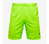 Puma teamGOAL 24 Shorts