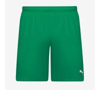 Puma teamGOAL 24 Shorts