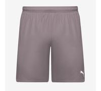 Puma teamGOAL 24 Shorts