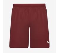 PUMA teamGOAL Shorts, XL