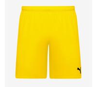 Puma teamGOAL 24 Shorts