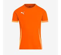 Puma teamGOAL 24 SS Shirt