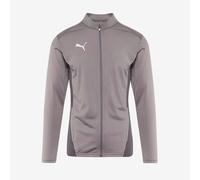 Puma teamGOAL 24 Training Jacket