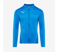 Puma teamGOAL 24 Training Jacket