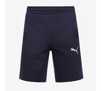 Puma teamGOAL 25 Casuals Shorts