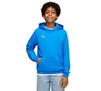 Puma Teamgoal Casuals Hoodie Blue 11-12 Years Kids