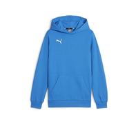 PUMA Boys Teamgoal Casuals Hoody Jr Pullover, Ignite Blue-puma White, 116 EU