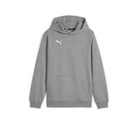 PUMA Boys Teamgoal Casuals Hoody Jr Pullover, Medium Gray Heather-puma White, 152 EU