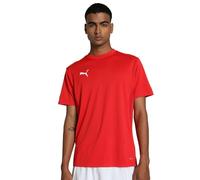 PUMA teamGOAL Jersey