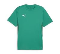 PUMA teamGOAL Jersey