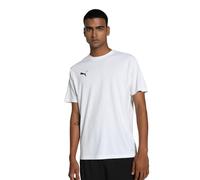 PUMA teamGOAL Jersey