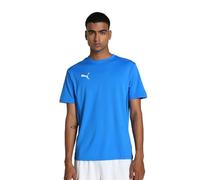 PUMA teamGOAL Jersey