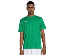 PUMA teamGOAL Jersey