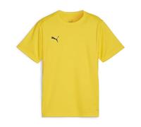 PUMA teamGOAL Jersey Jr