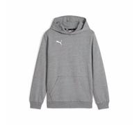 Puma Junior teamGOAL 25 Casuals Pullover Hoodie