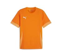 Puma teamGOAL 24 SS Shirt