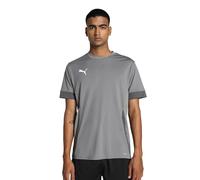 Puma teamGOAL 24 SS Shirt