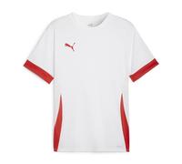 PUMA teamGOAL Matchday Jersey