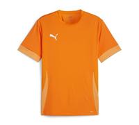 PUMA teamGOAL Matchday Jersey jr