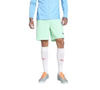 PUMA teamGOAL Shorts