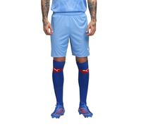 PUMA teamGOAL Shorts