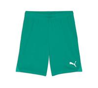 PUMA teamGOAL Shorts