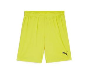 PUMA teamGOAL Shorts