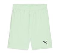 Puma Junior teamGOAL 24 Shorts