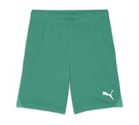 PUMA teamGOAL Shorts Jr
