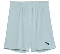 Puma Teamgoal Shorts Jr, Modern Mint-Puma Black