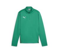 Puma Junior teamGOAL 24 1 4 Zip Training Top