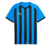 Puma TeamLIGA 26 Striped Mens T Shirt Jersey DryCELL Football Top Tee S-3XL