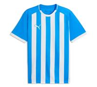 Puma TeamLIGA 26 Striped Mens T Shirt Jersey DryCELL Football Top Tee S-3XL