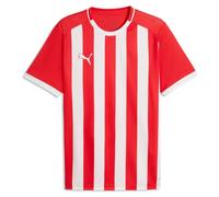 Puma TeamLIGA 26 Striped Mens T Shirt Jersey DryCELL Football Top Tee S-3XL