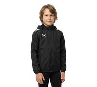 Puma Teamliga All Weather Jacket