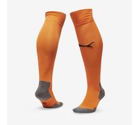 Puma teamLIGA Core Socks