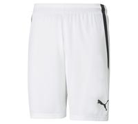 PUMA Teamliga Unisex Shorts