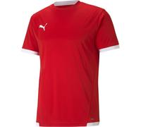 Puma TeamLIGA Jersey 704917