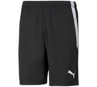 Puma teamLiga M 704924 03 shorts