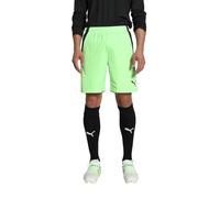 PUMA Teamliga Men's Shorts
