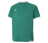 Puma Teamliga Short Sleeve T-shirt
