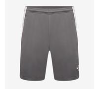 Puma teamLIGA Shorts